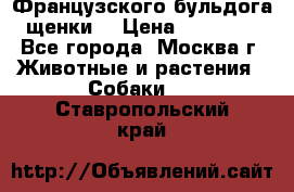 Французского бульдога щенки  › Цена ­ 35 000 - Все города, Москва г. Животные и растения » Собаки   . Ставропольский край